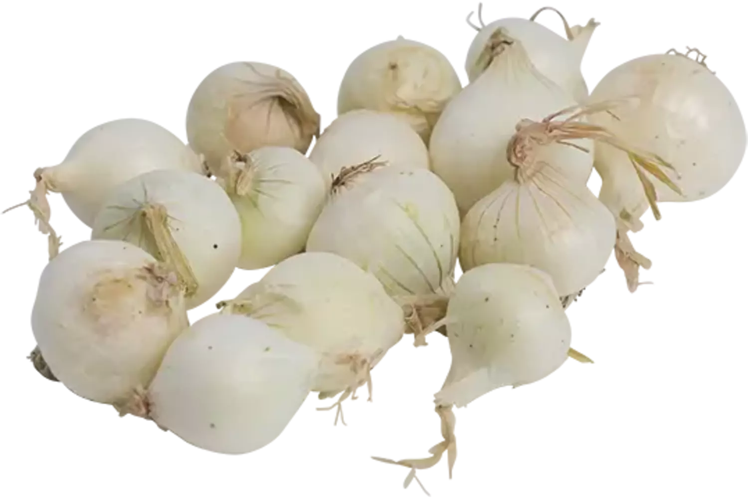 Zilveruien wit verpakt 500gr stuk 2